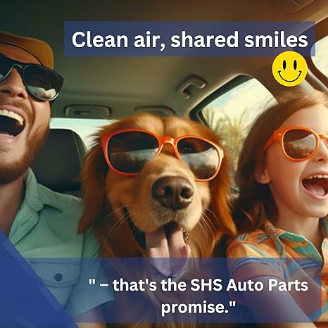 Pack of 10 Air Filter Compatible with Toyota Prius V AF1442