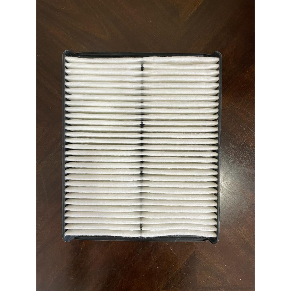 Pack of 20 Cleaner Air Filter Compatible with Hyundai Sonata AF1495