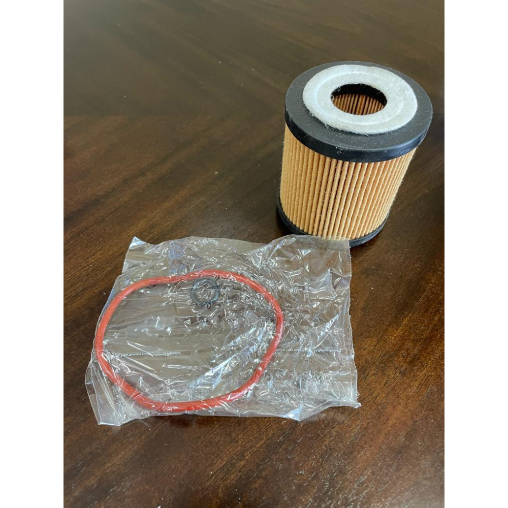 Pack of 20 Oil Filter Element Compatible with SHS 2017